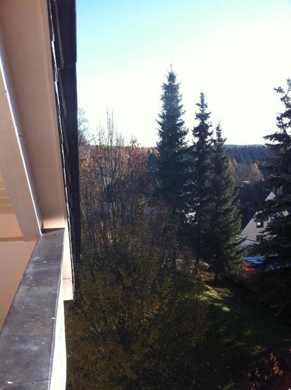 Concordia Harzapart Braunlage Luaran gambar